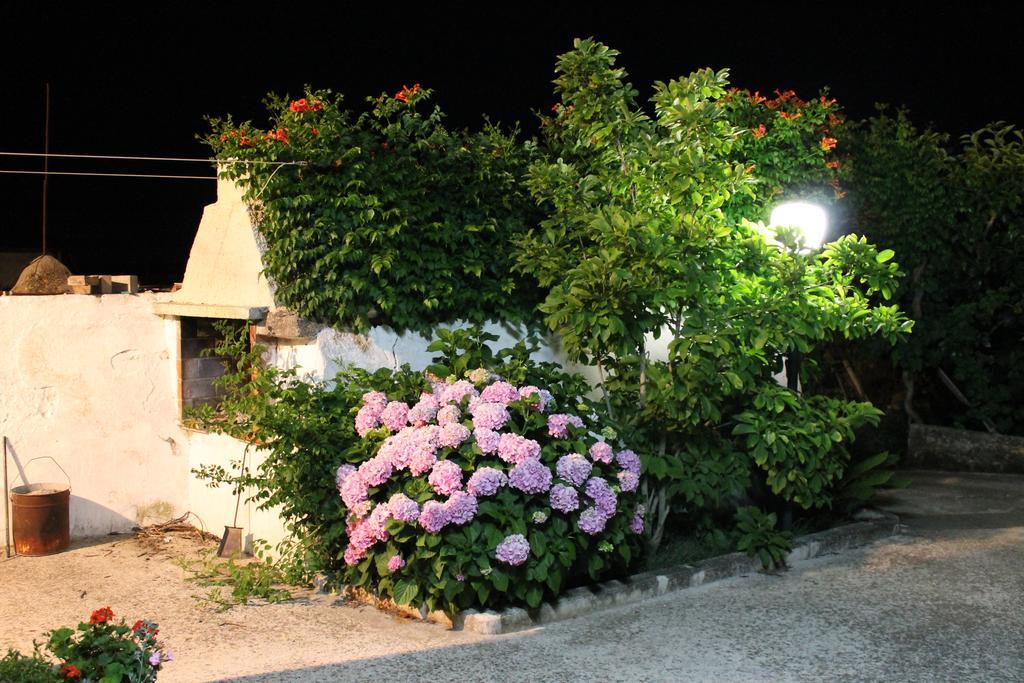 La Casa Del Nonno Bed and Breakfast Alberobello Exteriör bild