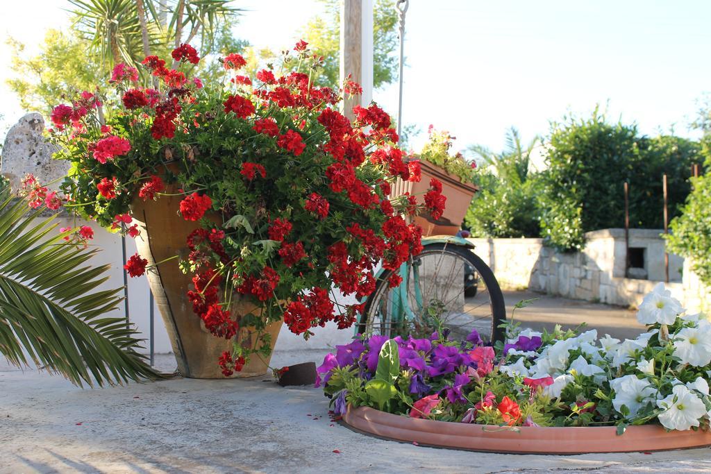 La Casa Del Nonno Bed and Breakfast Alberobello Exteriör bild