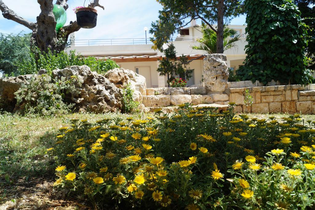 La Casa Del Nonno Bed and Breakfast Alberobello Exteriör bild