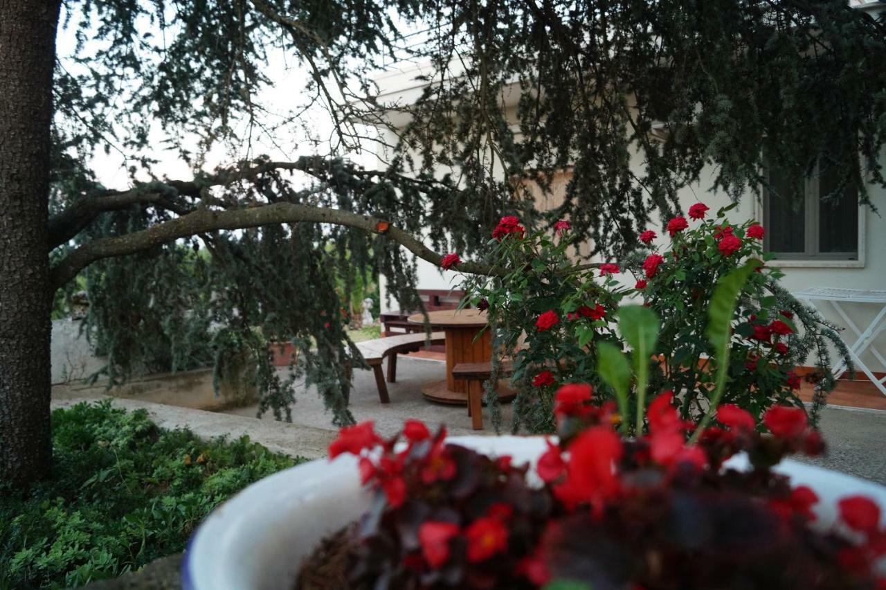 La Casa Del Nonno Bed and Breakfast Alberobello Exteriör bild